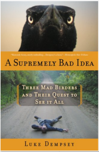 A Supremely Bad Idea cover