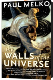 The Walls of the Universe cover